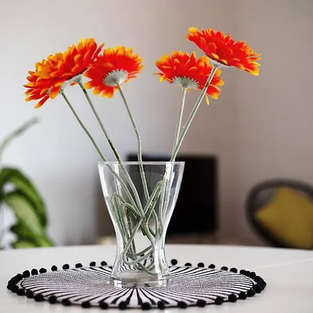 Casa Cucu بيت للعطل *